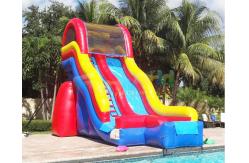 China Palm Tree Bouncy Castle Commercial Inflatable Slide For Amusement Park supplier