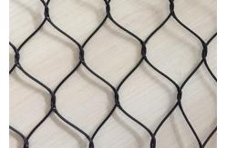 China Flexible Green Wall Cable Trellis System , Green Wall Wire Trellis System supplier