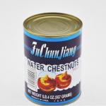 Sweet 425g 567g Canned Fruits Vegetables Water Chestnut In Syrup for sale