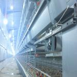 Poultry Equipment Multi Poultry Broiler Cage Customized Multi Style for sale