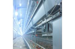 China Poultry Equipment Multi Poultry Broiler Cage Customized Multi Style supplier