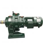 Industrial Pinwheel Speed Cycloidal Gear Reducer Motor ODM
