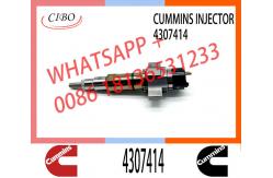 China Diesel Parts Fuel Injector 4307414 4359204 For Dongfeng Foton Cummins supplier