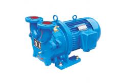 China 2BV2 Water Ring Vacuum Pump/Compressor supplier