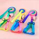 Colorful Pet Traction Rope Nylon Quick Release For Dog for sale