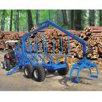 Twin Blade Timber Mill, Double Heads Vertical Slabber Sawmill Machine