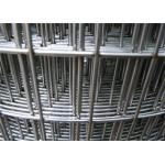 1/4x1/4 Inch 1/2x1/2 Inch 1x1 Inch 2x2 Inch Welded Wire Mesh for sale