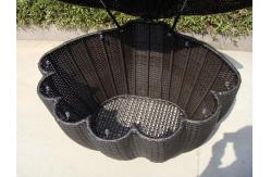 China Garden Shell Shaped Wicker Rattan Storage Box With UV Resistant supplier