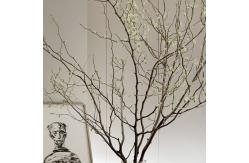 China 80cm Artificial Tree Branches Custom Simulated Plant Interior Ornaments supplier