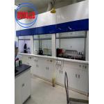Automatic Ducted Fume Hood For Ensuring Laboratory Safety And Comfort for sale