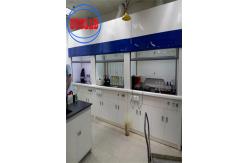 China Electronic Control Frp Ducted Fume Hood With Auto Shut Off Safety supplier