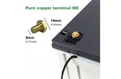 China AA Lithium Ion Rv Battery Pack Rechargeable 12.8V 200ah supplier