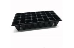 China high quality forest seedling tray supplier