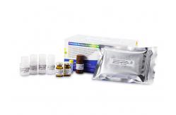 China Kit For Determination Seminal Plasma PMN Elastase Level supplier
