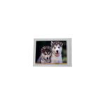 F055A13-6T1 5.5 inch 720*1280 LCD Screen Display for sale