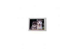 China F055A13-6T1 5.5 inch 720*1280 LCD Screen Display supplier