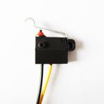 WS12-FTSW6-W150D165 Thermosetting Plastic Mini Snap Action Switch 5A 250VAC for sale
