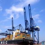 China Logistics To Jacksonville USA DDP Sea Freight for sale