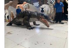 China Interactive Realistic Crocodile Costume For Amusement Park supplier