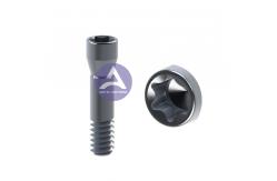 China Straumann SynOcta® Dental Implant Titanium Screw Trox Compatible with Tissue Level supplier