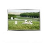 15.6 Inch Lcd Panel Small 40 Pin Connector Outdoor Screen Monitor for sale