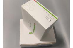 China Serum Phosphoric Acid COVID-19 Neutralizing Ag Rapid Test Kit Sample Buffer supplier