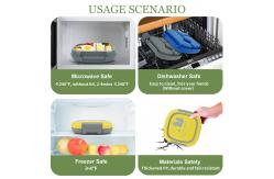 China 700ml Plastic Bento Lunch Box supplier