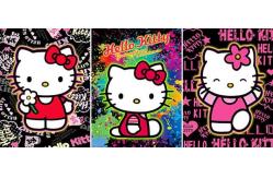 China 3D Flip Effect Pictures Custom Lenticular Printing 3D Anime Posters For Home supplier
