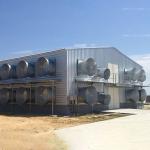 Custom Modern Steel Frame House , High Strength Metal Chicken House for sale
