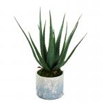 Customizable Landscape 23CM Artificial Potted Floor Plants Green Aloe Garden Decoration for sale