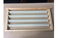 China No Graft Beekeeping Queen Rearing One Plastic Cassette Honey Bee Box Beekeeper Tool supplier