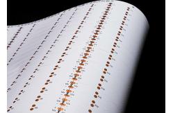 China Double Sided Flexible Electronic Printed Circuit Board With White Film Black Character supplier