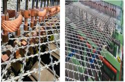 China High Security Galvanized Straight Line Razor Wire Fence  Panel supplier