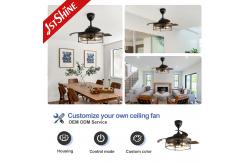 China 1stshine Black Traditional PC Hidden Blades Ceiling Fan with Remote 2- Lighting Solutions supplier