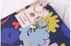 China Cute Hardcover Spiral Planner Golden Wire Binding With Stickers / Pocket Folder / Pendant supplier