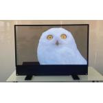 customized Ultra Thin OLED Transparent Display For indoor Advertising for sale