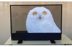 China customized Ultra Thin OLED Transparent Display For indoor Advertising supplier