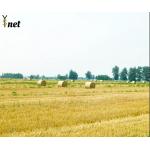 HDPE Biodegradable Hay Bale 2000m 3000m 3400m Wrap Silage Net Wrap
