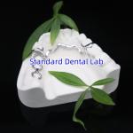 Vitallium 2000 Partial Framework ISO CE And FDA China Dental Lab Metal Framewrok Partial Denture for sale