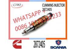 China Fuel Injector Assembly 2872544 2086663 2057401 2872405 203183 Common Rail Injector supplier