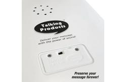 China Fully Customizable Blank Recordable Musical Cards For Personalized Greetings supplier