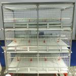 Automatic Q235A H Type Broiler Chicken Cage 150x100x44cm Size for sale