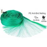 Green Nylon Anti Bird Net UV Resistant Netting For Crops And Gardens for sale