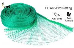 China Green Nylon Anti Bird Net UV Resistant Netting For Crops And Gardens supplier
