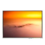 LTD121EXFV 12.1 inch LVDS  TFT-LCD Screen For Laptop for sale