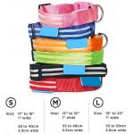 Ultra Bright Ultimate LED Light Up Dog Collar for sale