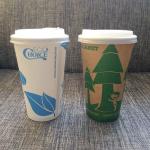 Pla Coffee Biodegradable And Compostable Tableware Paper Cups 16oz Double Wall With Lids for sale