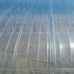 Transparent Plastic Mulch Film Agriculture 2-20m Width Allowing Maximum Light Transmission