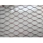 Plain Weave Stainless Steel Zoo Mesh High Safety Without Toxic Material-Monkey