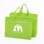 Custom Printed Washable Non Woven Recycle Bag With Double Handles 80gsm-120gsm for sale